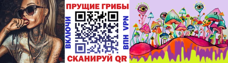 Купить где  Арск  Псилоцибиновые грибы Cubensis 